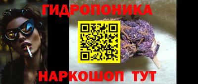 стаф Заводоуковск