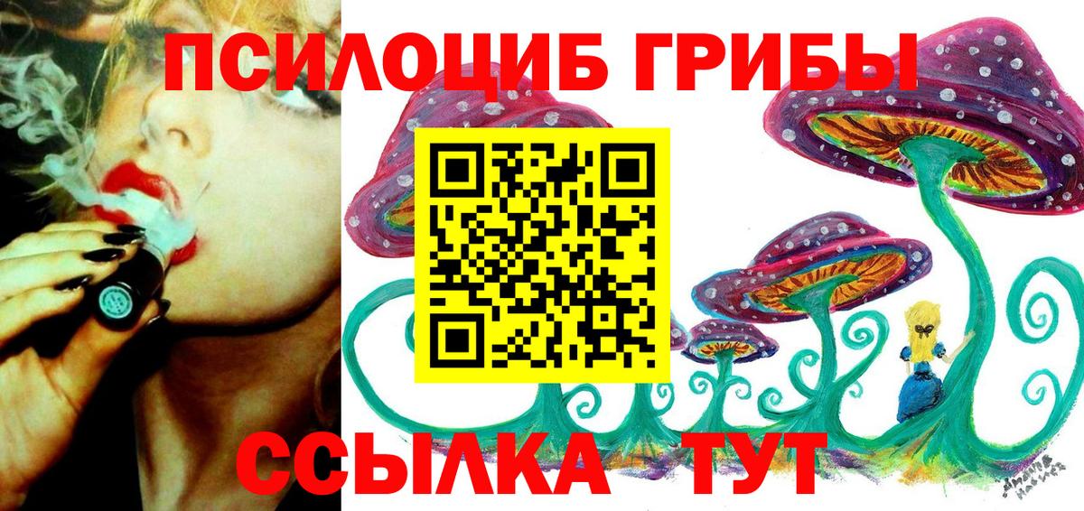 A PVP Майский